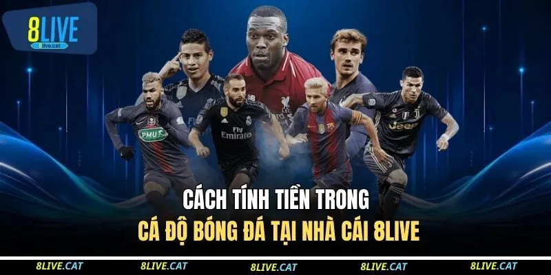 Cách Tính Tiền Trong Cá Độ Bóng Đá Tại Nhà Cái 8LIVE