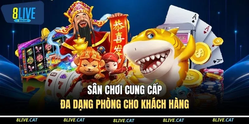 Sân chơi cung cấp đa dạng phòng cho khách hàng